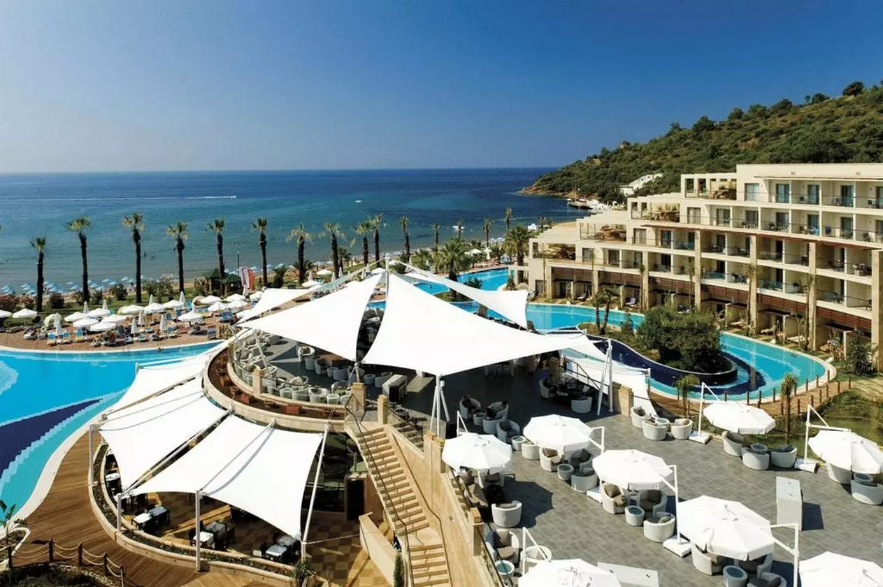 PALOMAPASHA_SHABAVIZ (5).jpg